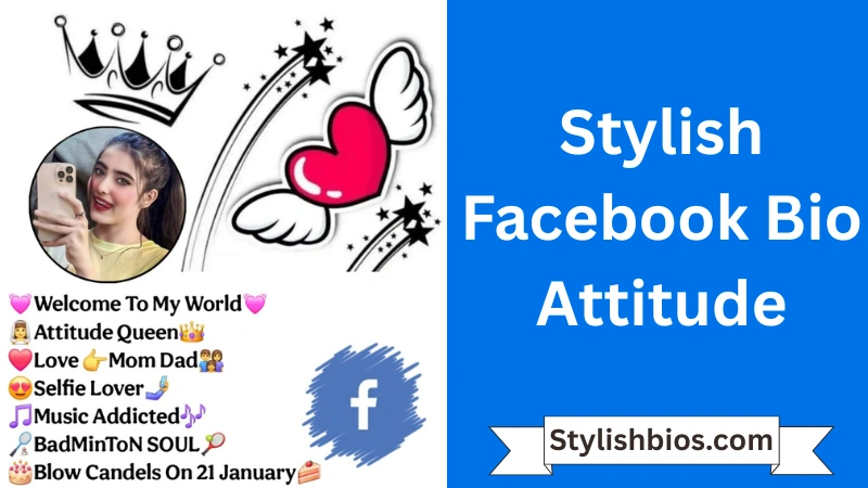 Stylish Facebook Bio Attitude