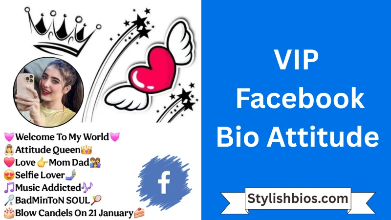 VIP Facebook Bio Attitude