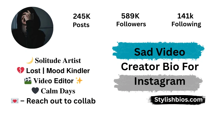 Sad Video Creator Bio For Instagram