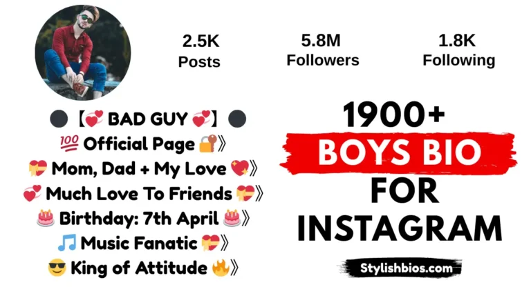 stylish instagram bio for boys