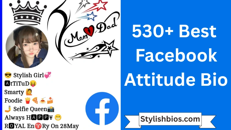 530+ Best Facebook Attitude Bio